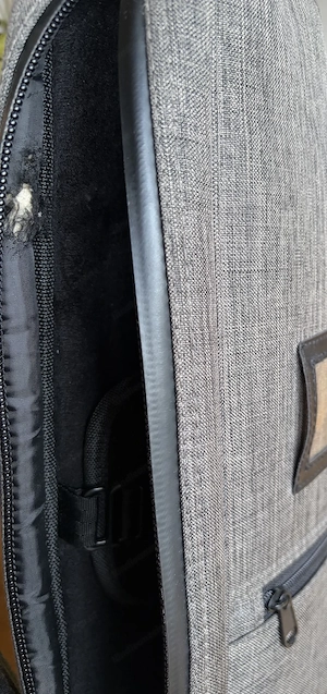 Strandberg Boden Classic NX 6 Trem E-Gitarre Bild 4