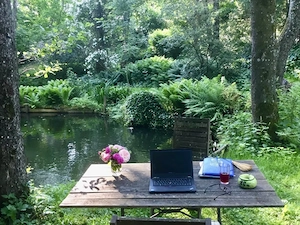 Idyllisches Wohnen in Haag OÖ  Bild 3