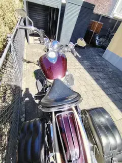 Yamaha XVS DragStar 1100 , Classic Bild 2