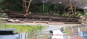 Holzdielen Doglasie  300x12x2,5