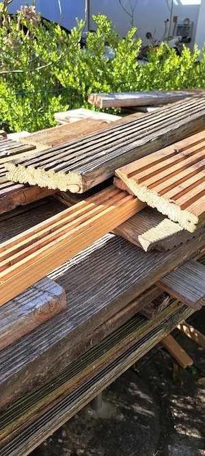 Holzdielen Doglasie  300x12x2,5 Bild 3