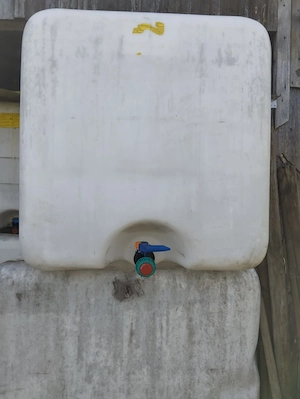 20 Stück IBC Container 1000 Liter zu verschenken Bild 2