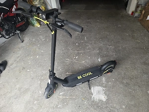 E=scooter  der Firma Bee cool