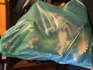 Große Dinossaurier  Bild 4