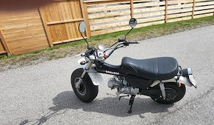 SkyTeam T Rex 125ccm   gepflegt, selten, ideal für Bastler   BJ 2013 Bild 2