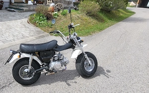 SkyTeam T Rex 125ccm   gepflegt, selten, ideal für Bastler   BJ 2013 Bild 4