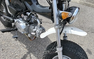 SkyTeam T Rex 125ccm   gepflegt, selten, ideal für Bastler   BJ 2013 Bild 6