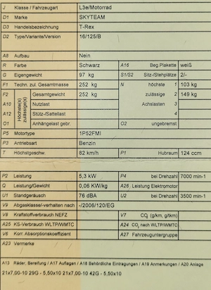 SkyTeam T Rex 125ccm   gepflegt, selten, ideal für Bastler   BJ 2013 Bild 5