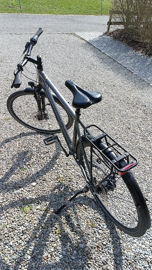 Riemen Fahrad Steven Boulevard Luxe Bild 5