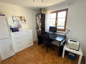 Dachgeschosswohnung in ruhiger Lage mit ruhiger Lage und Bergpanorama Bild 8