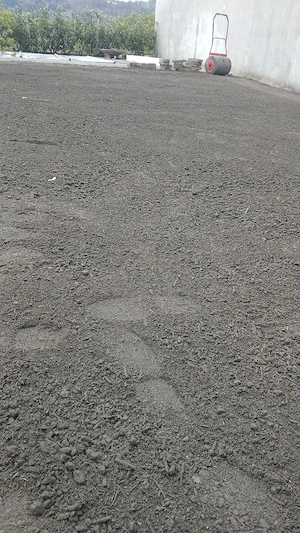 gartenarbeit  Bild 2