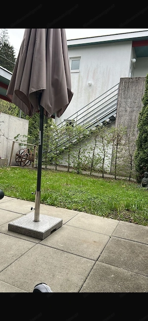 Hecke, Gebäusch, Sichtschutz, Pflanzen Bild 2