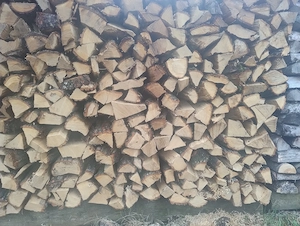 Frisch Gespaltenes Eichenholz zum einlagern! Bild 2