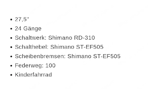 Jugendfahrrad - Merida 74 Wulf - kaum gefahren  Bild 2