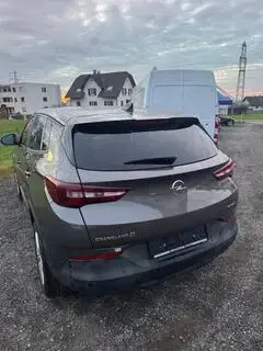 Opel Grandland X Bild 2