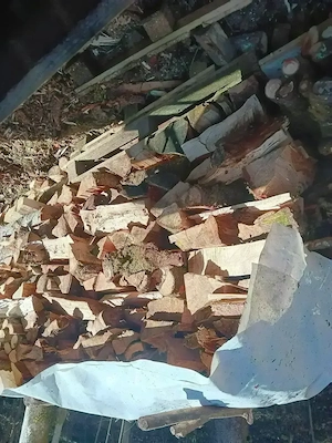 Ofenfertiges Brennholz aus der Region   Hartholz Bild 8