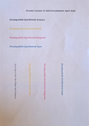 Drucker Canon Pixma TS5050 Druckerpatronen TS 5050 Patronen Bild 4