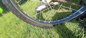 KTM hobby Puch Bild 5