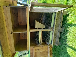 Meerschweinchenstall Bild 2