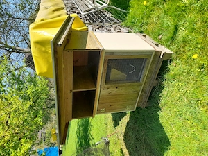 Meerschweinchenstall Bild 3