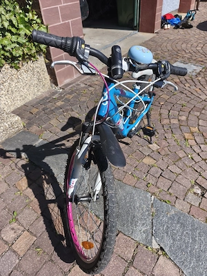 Fahrrad Cygnus 24 Zoll Bild 2