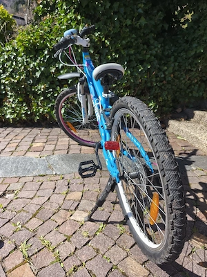 Fahrrad Cygnus 24 Zoll Bild 3