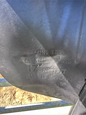 Dressursattel Bild 3