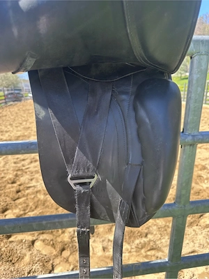 Dressursattel Bild 2