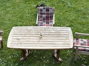 Holztisch Garten Bild 2