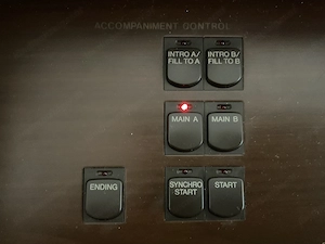 Orgel Yamaha AR100 Premiummodell Bild 5