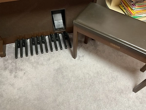 Orgel Yamaha AR100 Premiummodell Bild 6