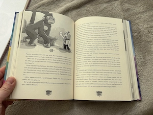 Paluten Buch von Youtuber, Minecraft Spieler neuwertig Bild 2