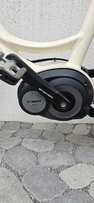 Riese & Müller Swing Vario E-Bike Bild 3