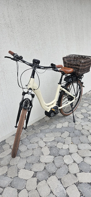 Riese & Müller Swing Vario E-Bike Bild 2