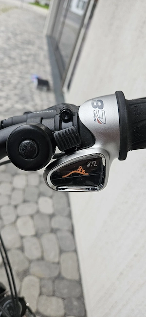 Riese & Müller Swing Vario E-Bike Bild 4