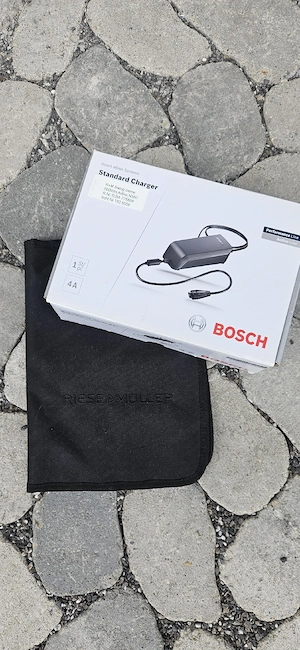 Riese & Müller Swing Vario E-Bike Bild 6