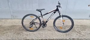 Mountainbike 