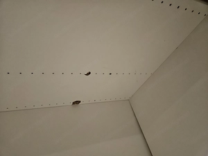 Ikea Pax Kleiderschrank Bild 4