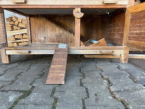 Meerschweinchen Kaninchenstall Bild 4