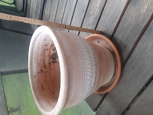 Pflanzentopf  zu verkaufen  um 10 Euro  Bild 2