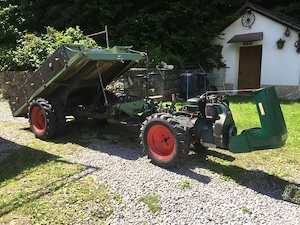 PGS Lombardini Bergkönig Bild 2