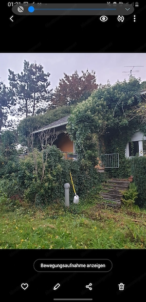 Gartenarbeit, Gärtner 