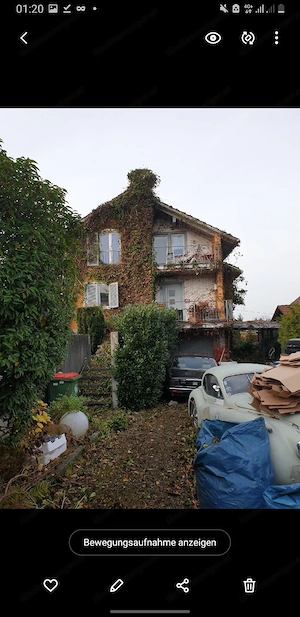 Gartenarbeit, Gärtner  Bild 4