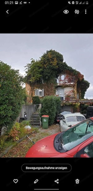 Gartenarbeit, Gärtner  Bild 5