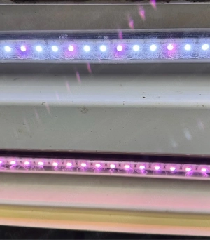 Aquarium 120l mit Abdeckung und LED Beleuchtung Bild 3