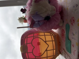 Kätzchen mit Käfig  Bild 2