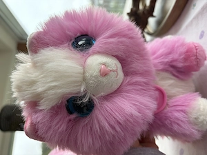 Kätzchen mit Käfig 