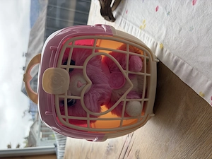 Kätzchen mit Käfig  Bild 3