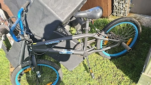 Gegen Kässilegeld abzugeben Bild 3