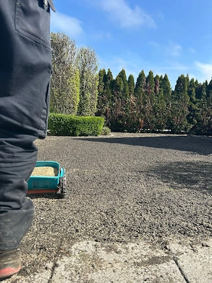 gartenarbeit 
